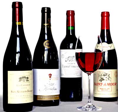 Страны - производители и марки вина